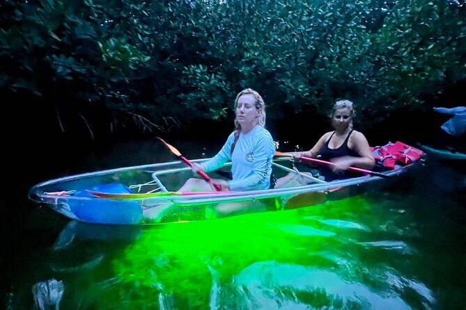 Guided Night Kayak Adventure Tour in Luminous Lagoon - Who Should Book This Night Kayak in the Luminous Lagoon