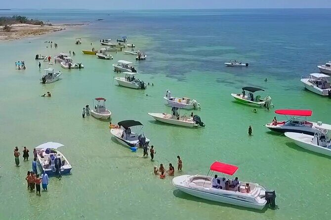 Half Day Charter Sandbar Snorkeling and Eco Adventure - Key Things I’d Pay Attention To