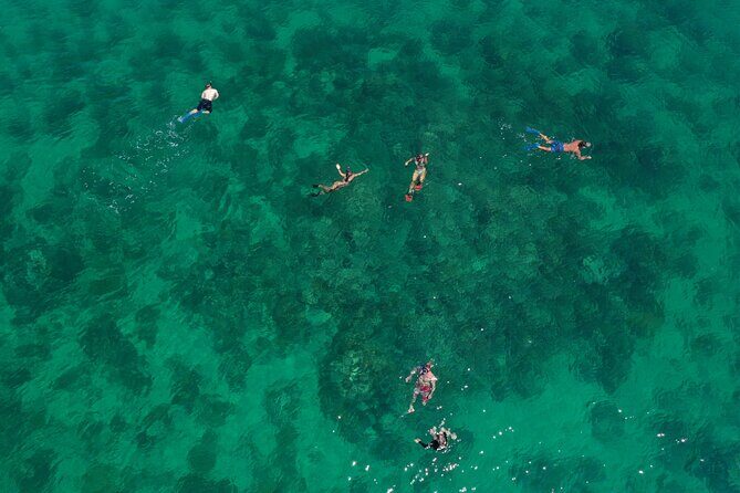 Half-Day Morning Trip from Key West with Kayaking and Snorkeling - Key Highlights You’ll Actually Use