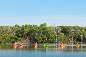 Half-Day Morning Trip from Key West with Kayaking and Snorkeling - The Small-Group Cap (20 People) Is More Than a Number