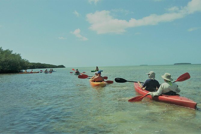 Half-Day Trip from Key West with Kayaking, Snorkeling & Sunset - Why the Protected Sanctuary Experience Is the Real Win
