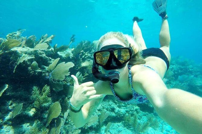 Half-Day Trip from Key West with Kayaking, Snorkeling & Sunset - Snorkeling Over Seagrass and Coral Heads (Expect Variety)