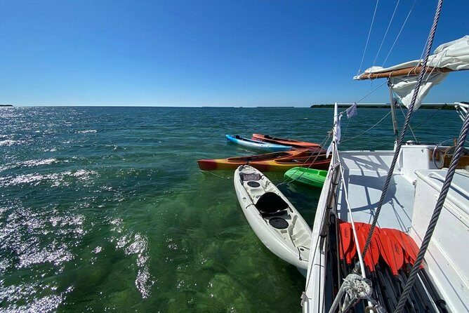Half-Day Trip from Key West with Kayaking, Snorkeling & Sunset - Kayaking Through Mangroves: Calm Water, Real Wildlife Energy