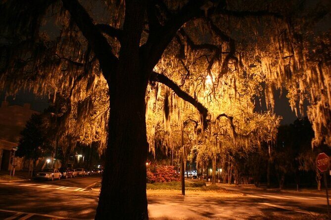 Hemingway Tour - Night Hemingway in Key West: why this tour is a smart use of time