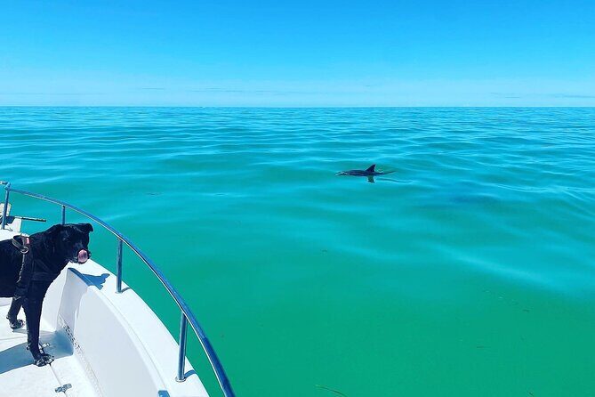 Island Hop Sandbar Adventure - Island Hopping and Sandbar Time: The Real Rhythm of the Day