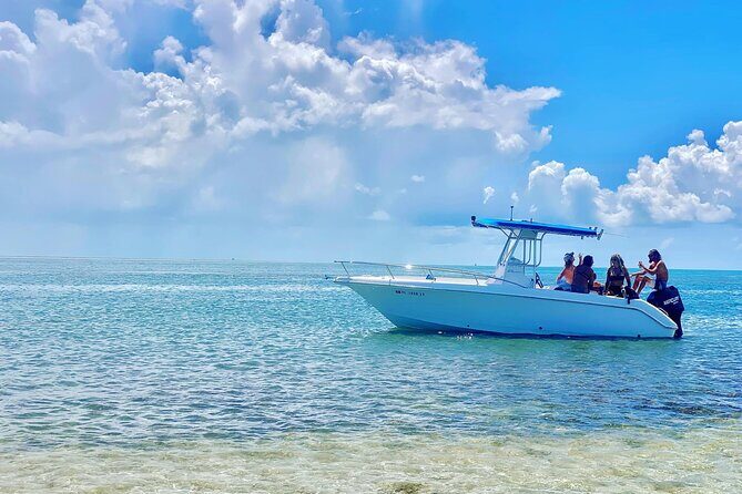 Island Hop Sandbar Adventure - Snorkeling Gear and Sea Life: How You Get the Most Without Extra Costs