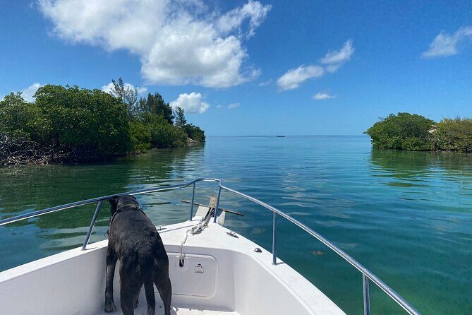 Island Hop Sandbar Adventure - Weather, Flexibility, and the One Real Risk