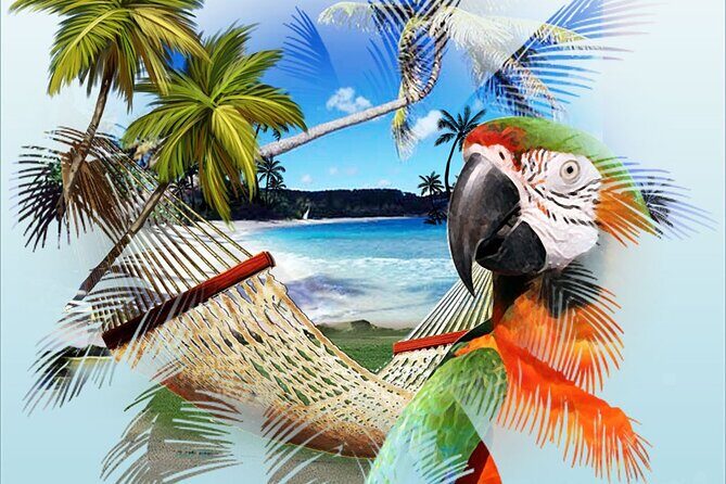 Jimmy Buffett Tour - Kermits and the Key Lime Pie Moment That Breaks Up the Day