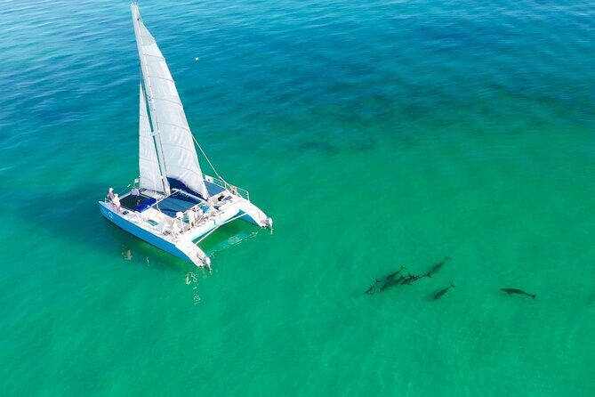 Kayak + Guided Snorkel & Morning Sail hosted by Honest Eco - Kayak + Guided Snorkel + Morning Sail: the big idea in Key West