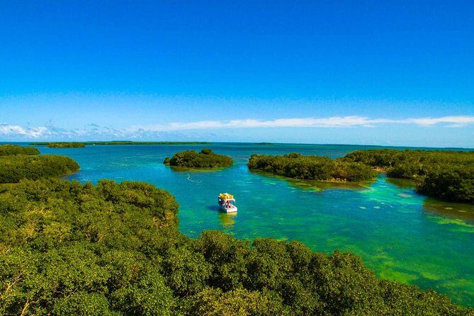 Kayak + Guided Snorkel & Morning Sail hosted by Honest Eco - Pace check: for families, teens, and first-timers