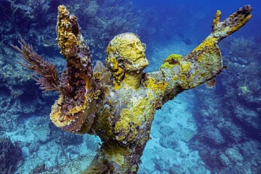 Key Largo: Snorkeling Trip - Key Largo Snorkeling: Coral Reefs and Friendly Crew, Built for Real Time in the Water