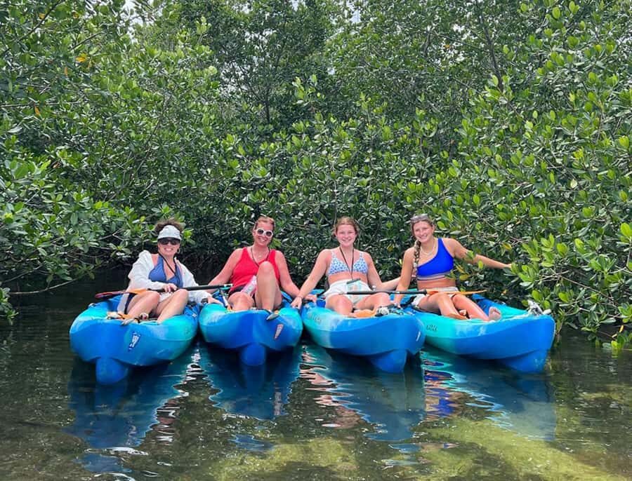 Key West: 2-hour Mangrove Kayak Tour - Cow Key Marina Start: Getting On the Water Without Stress