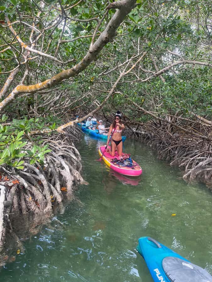 Key West: 2-hour Mangrove Kayak Tour - The Mangrove Tunnels Circuit: What 2 Hours Feels Like