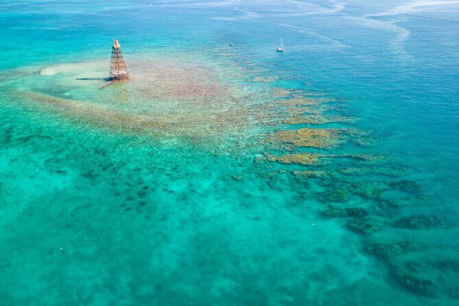 Key West 2 Reef Snorkel Tour & Sunset Cruise with Beer & Wine - The reef stops: two chances at coral and sea life