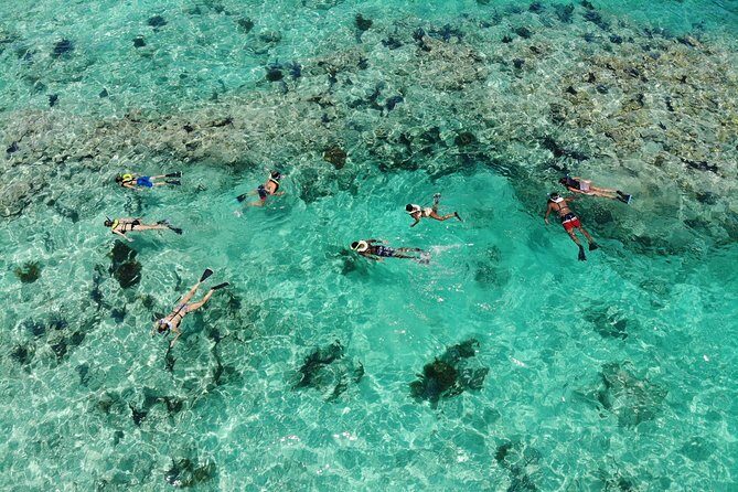 Key West 2 Reef Snorkel Tour & Sunset Cruise with Beer & Wine - Drinks and the “unlimited” part: beer, wine, champagne