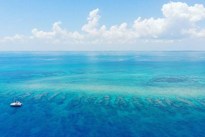 Key West 2 Reef Snorkel Tour & Sunset Cruise with Beer & Wine - Wildlife odds: what counts as a win on your day