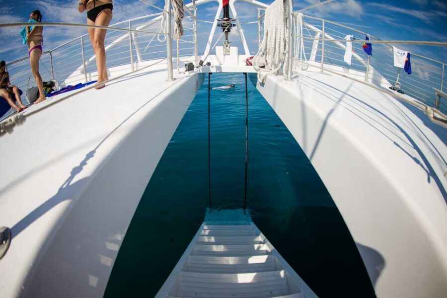 Key West: 2 Reef Snorkel With Sunset Cruise, Includes Drinks - Who this two-reef sunset tour fits best
