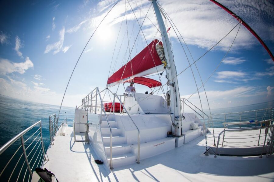 Key West: 3-Hour Afternoon Reef Snorkel with Drinks - Key Highlights You Should Actually Care About
