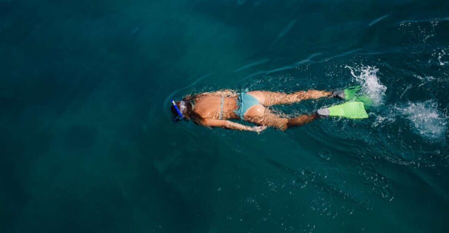 Key West: 3-Hour Afternoon Reef Snorkel with Drinks - Reef Snorkel Time: Gear, Safety, and What You May Actually See