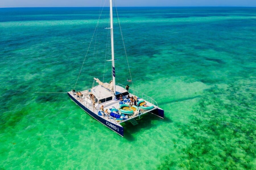 Key West: Afternoon Catamaran Sail and Dolphin Watch - Why This 150-Minute Catamaran Sail Works So Well in Key West