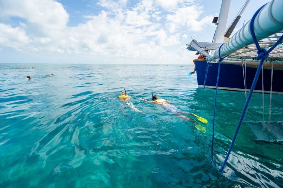 Key West: Afternoon Reef Snorkel Tour with Open Bar - Key West Reef Snorkel in 5 Highlights You’ll Care About