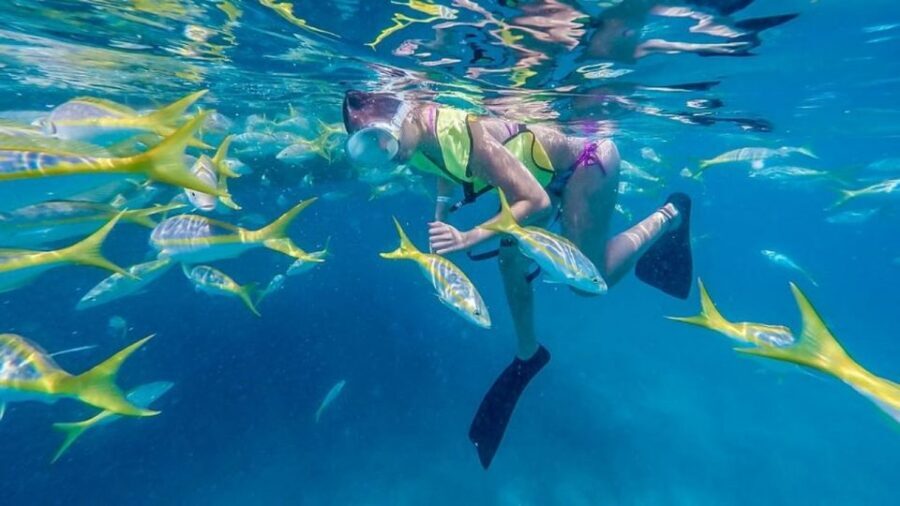 Key West: Afternoon Reef Snorkel Tour with Open Bar - Meeting Point on Lazy Way Lane: Get There Before You’re Tired