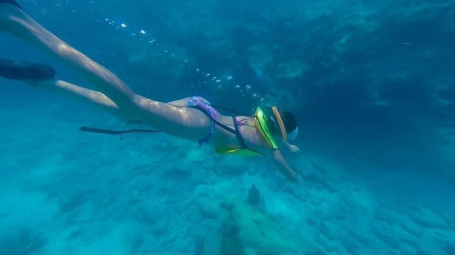 Key West: Afternoon Reef Snorkel Tour with Open Bar - Snorkel Training: How the Crew Helps You Actually Enjoy the Water