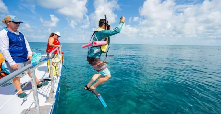 Key West: Afternoon Reef Snorkel Tour with Open Bar - The Catamaran Ride: Roomy, Breezy, and Set Up for Dolphins