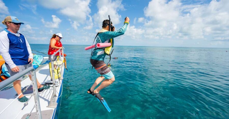 Key West: Afternoon Reef Snorkel Tour with Open Bar - The Catamaran Ride: Roomy, Breezy, and Set Up for Dolphins