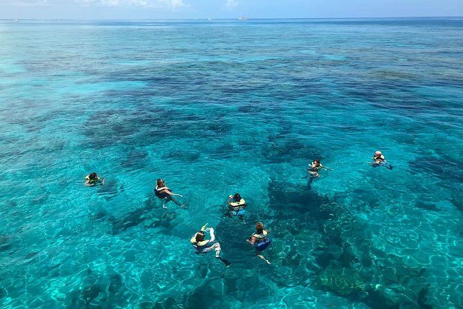 Key West Afternoon Reef Snorkeling with Open Bar - Open bar after snorkeling: the part people remember