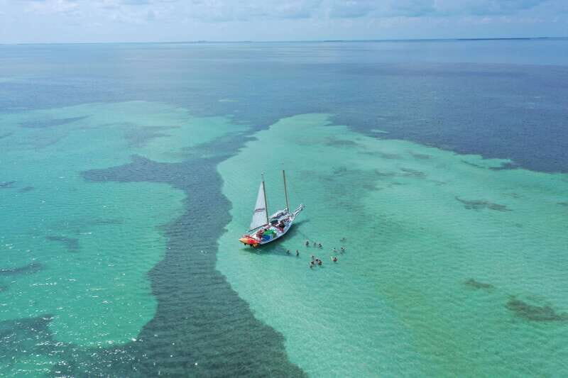 Key West Afternoon Sail, Snorkel, Kayak & Sunset Excursion - Kayaking Through Mangroves: The Part That Feels Like an Adventure
