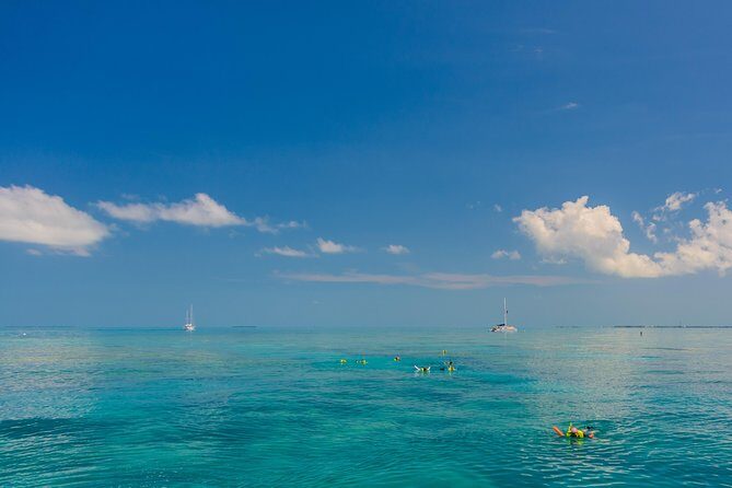 Key West Afternoon Snorkel Sail with Unlimited Cocktails! - Your reef time: what shallow water usually means
