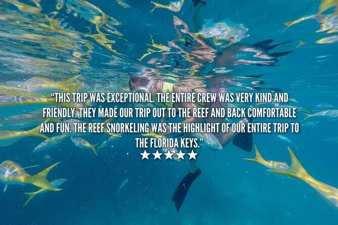 Key West Afternoon Snorkel Sail with Unlimited Cocktails! - Value for $59: what you’re really paying for