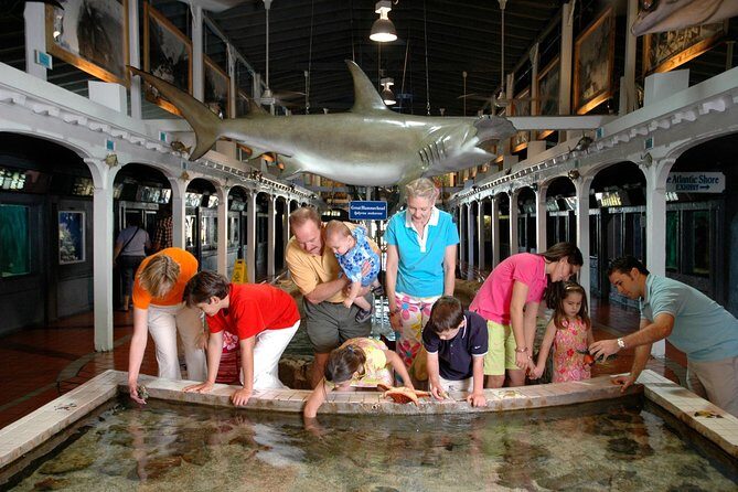Key West Aquarium Admission - Finding the Key West Aquarium: Mallory Square Makes It Easy