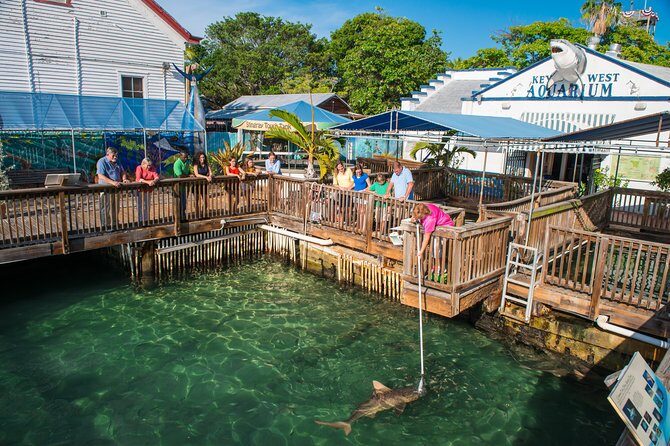 Key West Aquarium Admission - Other Exhibits That Round Out the Visit