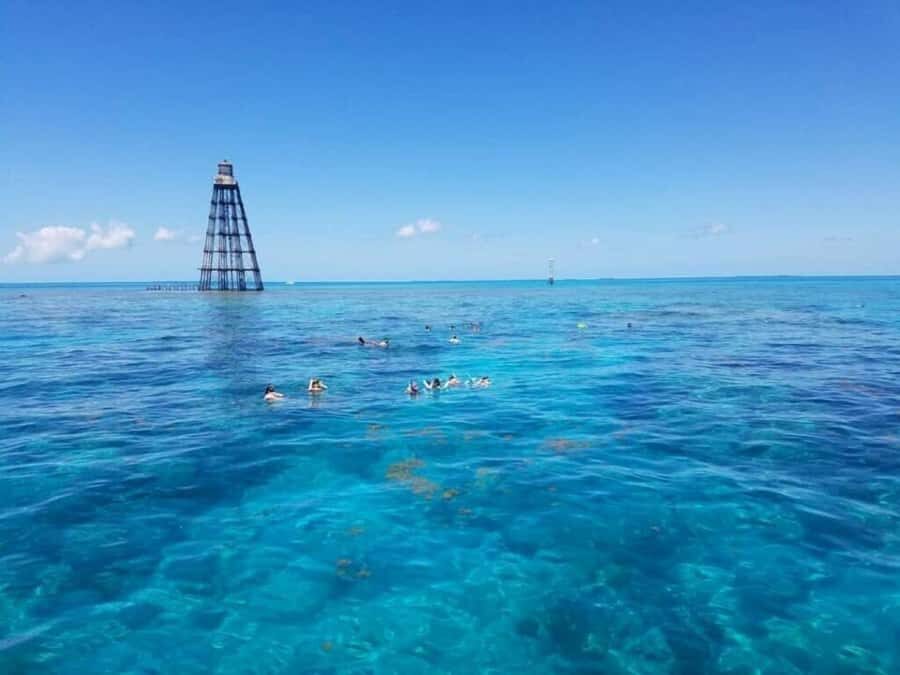 Key West: Catamaran Snorkel with Seafood Boil and Open Bar - Why this Key West experience feels practical, not just fun