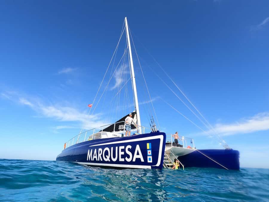 Key West: Catamaran Snorkel with Seafood Boil and Open Bar - Getting to the Harborwalk: your easiest starting line