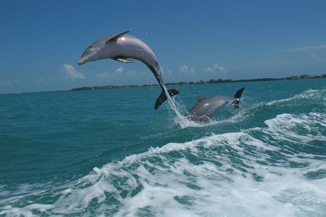 Key West Dolphin and Snorkel Experience - South Beach Key West sunset: the payoff moment
