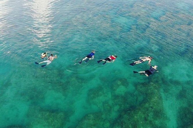 Key West Dolphin and Snorkel Experience - Price and value: is $69.95 fair for what you get?