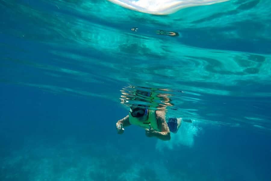Key West: Dolphin & Reef Snorkel Trip with Sunset Option - Morning 11:00 AM vs Evening Sunset Cruise Option