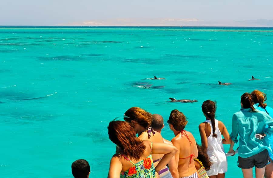 Key West: Dolphin & Reef Snorkel Trip with Sunset Option - Reef Snorkeling: What You’ll See and What You Should Bring