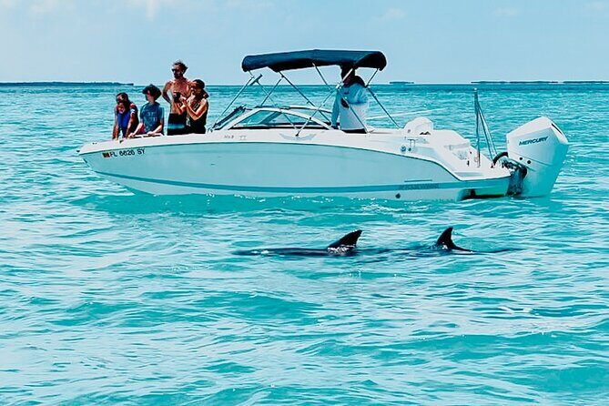 Key West Dolphin & Snorkeling Tour - Small Group - Key West dolphin-and-snorkel tour highlights that matter