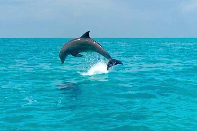 Key West Dolphin Watch and Snorkel Tour - Eco Adventure - Snorkeling at the Key West National Wildlife Refuge: Expect Shallow Water, Not a Perfect Reef