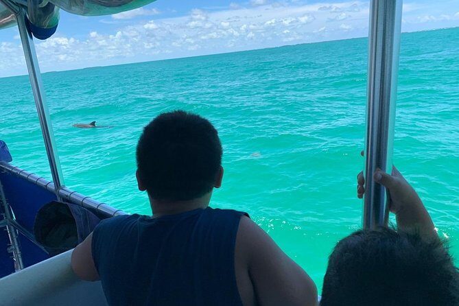Key West Dolphin Watch and Snorkel Tour - Eco Adventure - Snorkeling Gear, Instruction, and the Reality of First-Time Confidence