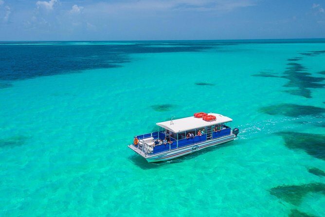 Key West Dolphin Watch and Snorkel Tour - Eco Adventure - Drinks and On-Board Comfort: The Part People Actually Remember