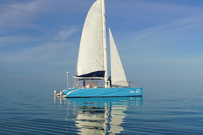 Key West Dolphin Watch and Sunset Sail on Catamaran - A 3-Hour Key West Catamaran for Dolphins and Golden Hour