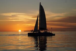 Key West Dolphin Watch and Sunset Sail on Catamaran - Dolphin Searching on a Catamaran: What You’re Really Signing Up For