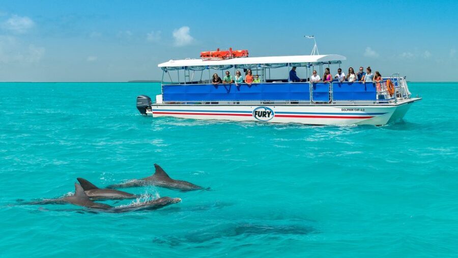 Key West: Dolphin Watching and Snorkeling Eco Cruise Tour - Key points to know before you go