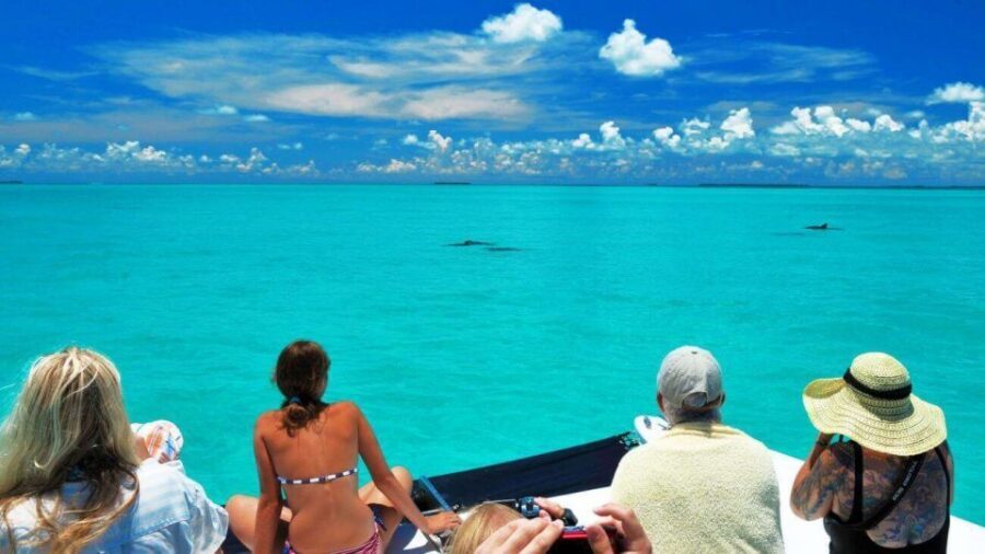 Key West: Dolphin Watching and Snorkeling Eco Cruise Tour - Dolphins and snorkeling in Key West, without the chaos