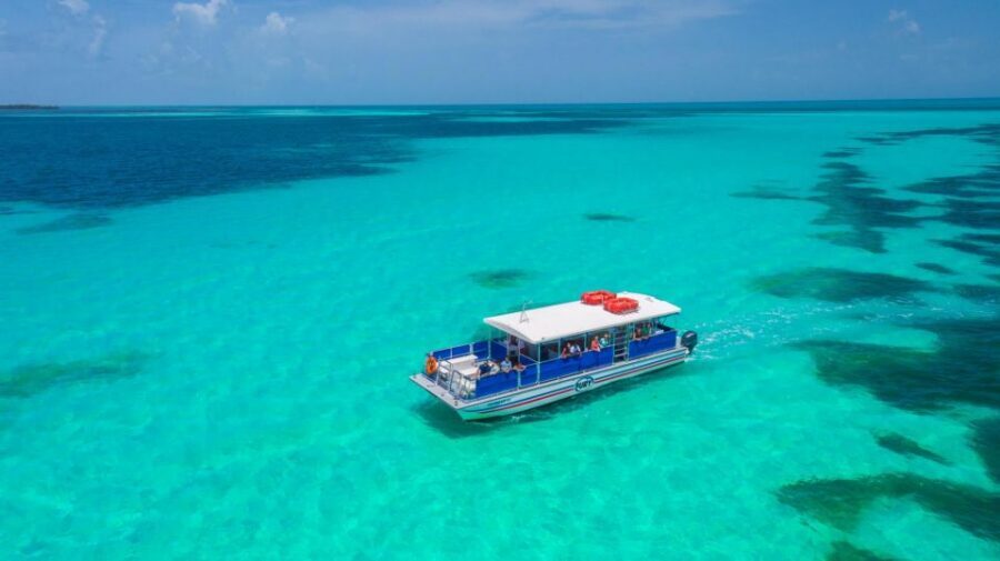 Key West: Dolphin Watching and Snorkeling Eco Cruise Tour - Dolphin-watching: what you should watch for (and why you might not always see dolphins)